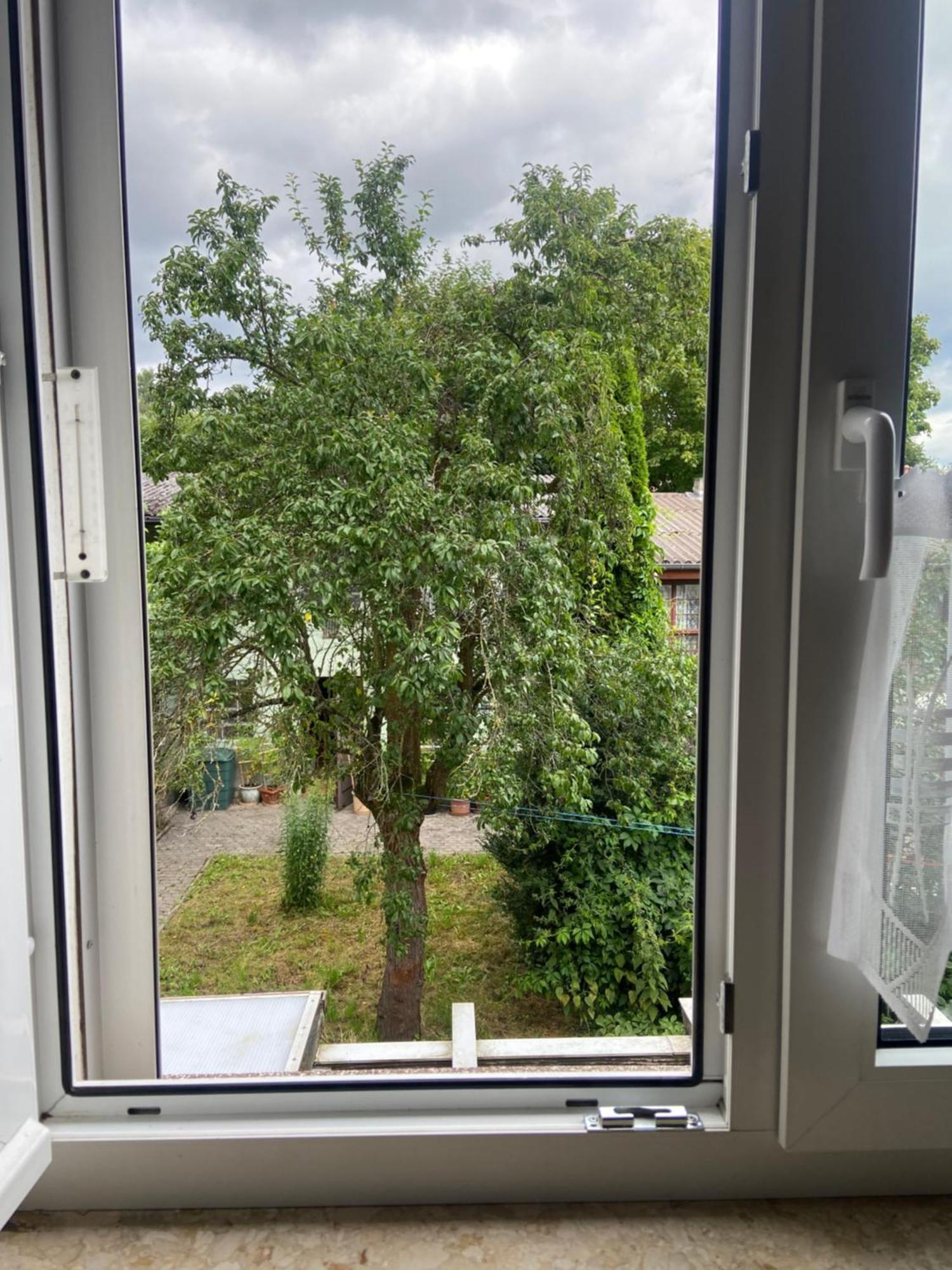 Stadtzentrumnahe Wohnung An Der Gruenen Aue, Kostenfreier Parkplatz Fulda Exterior photo